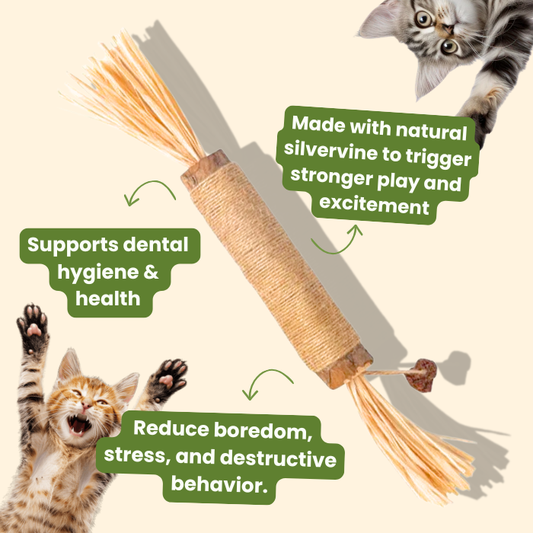 PurrStims™ Natural Silvervine Dental Chews